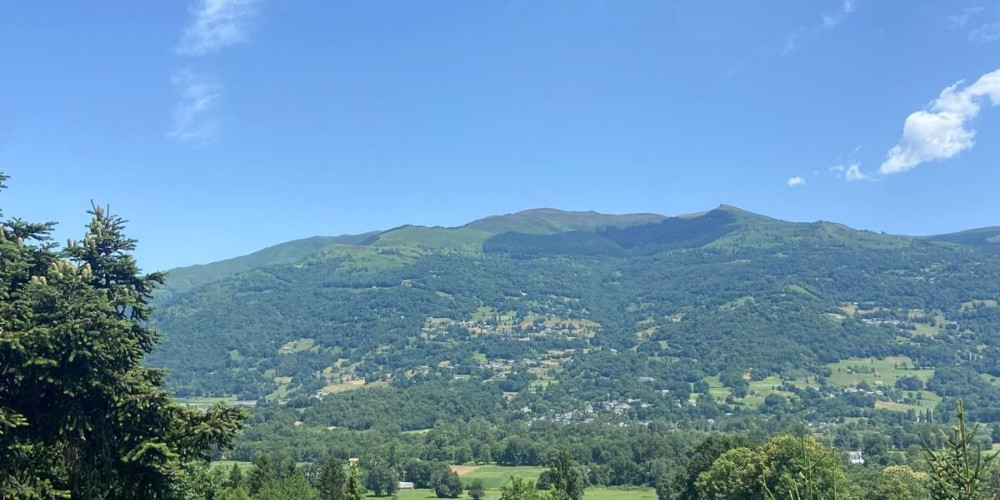 appartement à ST SAVIN (65400)